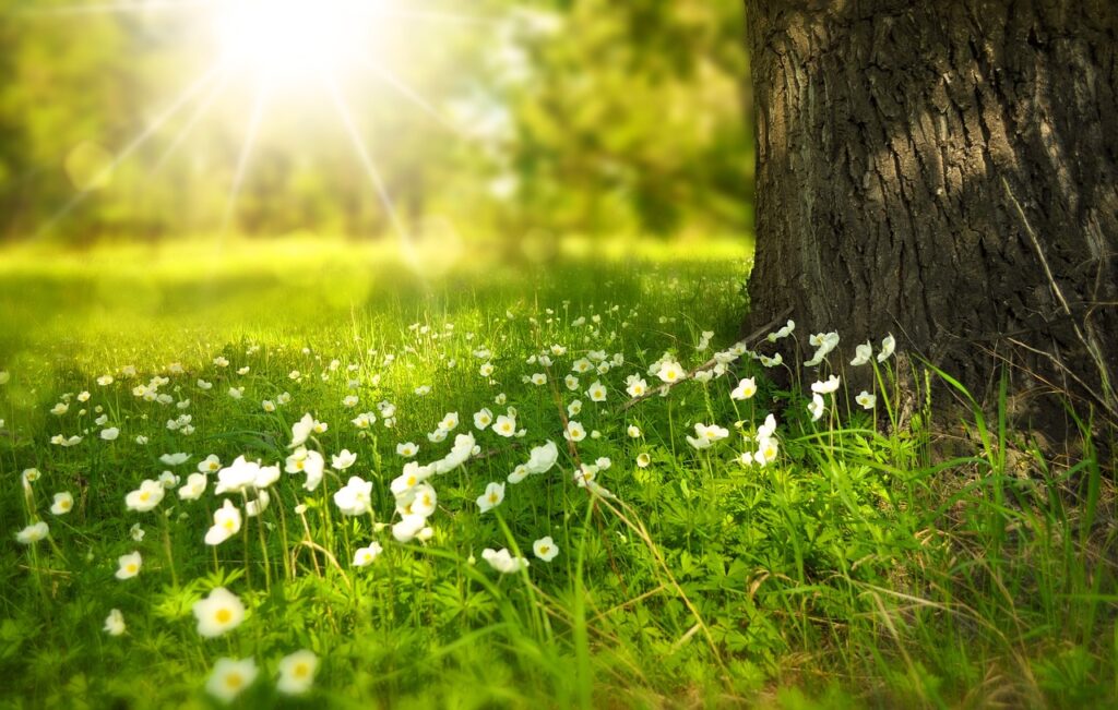 L'éclairage naturel