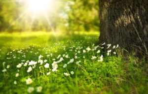 L'éclairage naturel